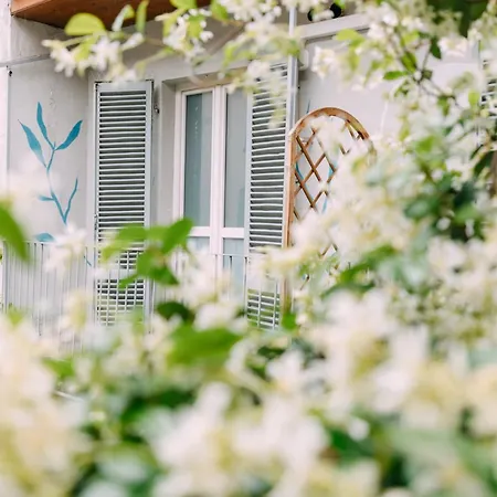 Tomato Urban Retreat