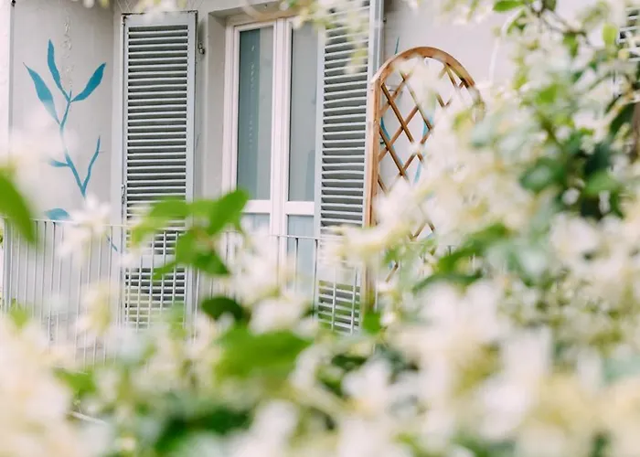 Tomato Urban Retreat